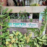  at Mr Green in Chiang Mai