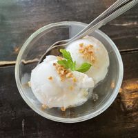 Coconut ice cream  at Mr Green in Chiang Mai