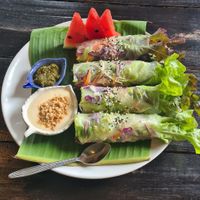 Summer rolls at Mr Green in Chiang Mai