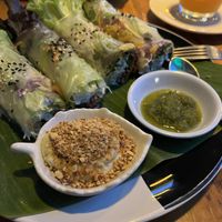 Rice paper rolls  at Mr Green in Chiang Mai