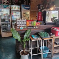  at Mr Green in Chiang Mai