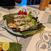 Fresh Spring Rolls! Recommend to get these! at Mr Green in Chiang Mai