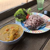 Pumpkin Curry & Rice at Mr Green in Chiang Mai