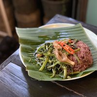 Morning glory at Mr Green in Chiang Mai