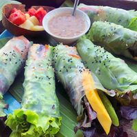 Spring rolls  at Mr Green in Chiang Mai