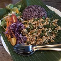 Larb at Mr Green in Chiang Mai