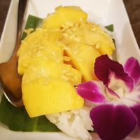 Sticky mango rice at Mr Green in Chiang Mai