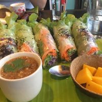 Fresh spring rolls 🌱👏🏼 at Mr Green in Chiang Mai