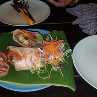 Burrito at Mr Green in Chiang Mai