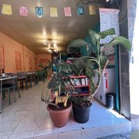 Space   at Naan in Mexico City