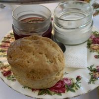 Vegan scone with strawberry jam and thick  coconut cream - scone was light and fluffy!  at The Tea Room in Sydney