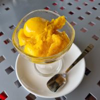Creamy vegan mango ice cream at VIKI BURGER in Koper