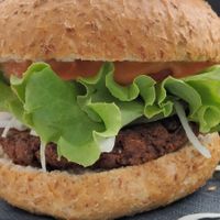  at VIKI BURGER in Koper