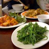 Gourd leaves and stems, tofu and tomato sauce, fried vegetables. at Hà Thành in Hanoi
