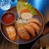 Gyoza at Café Europa in Oslo