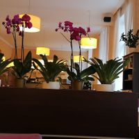 Ambiente at Napfényes Restaurant & Confectionery in Budapest