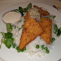 Breaded vegan cheese with rice, peas, and tartar sauce at Napfényes Restaurant & Confectionery in Budapest