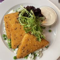 Plant based cheese fried in breadcrumbs   at Napfényes Restaurant & Confectionery in Budapest