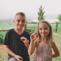 “Nice” cream sandwiches. GF, vegan an no guilt! at Nourish Hanalei in Hanalei