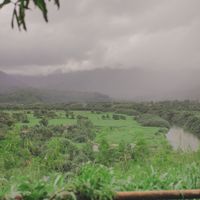 The view! at Nourish Hanalei in Hanalei