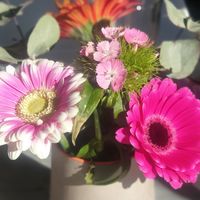 Pretty at Briki in Thornbury