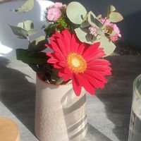 Small touches at Briki in Thornbury