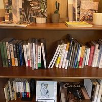   at Con Brio in Fujiyoshida