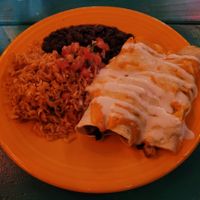 Vegan enchiladas filled with mushrooms and potatoes at El Grito Taqueria in Seattle