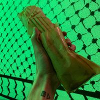 Vegan sabich (order without egg) at Palestine Grill in Zurich