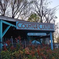  at Counter Culture in Austin