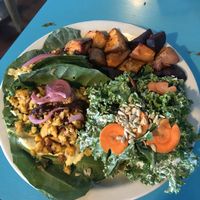 Raw taco at Counter Culture in Austin