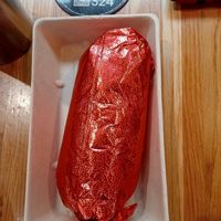 Mexicali regular size burrito at SYD - Mad Mex - T3 in Mascot