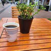 Great coffee, 20 ct for the not-reusable cup (great) at Kaffeerösterei Baum in Leer