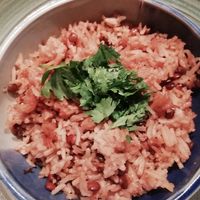 Rice with lentils, 8 Euros at Beiruti in Ghent