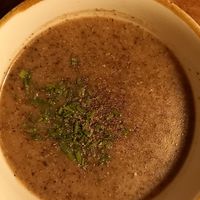 Trüffel-Creme Suppe  - ganz intensiver Geschmack at Bodhi in Ulm