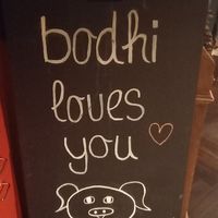 💚💚💚 at Bodhi in Ulm
