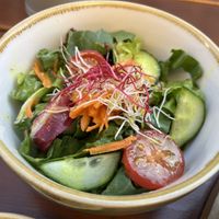 Side salad   at Bodhi in Ulm