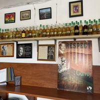 Plant wines and literature #Veganuary at I Stronga in North Miami