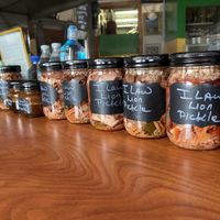 Veggie ferments with ghost pepper  #Veganuary at I Stronga in North Miami