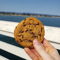 Chocolate chip cookie at Pacific Cookie Company in Santa Cruz