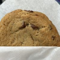 Chocolate chip cookie  at Pacific Cookie Company in Santa Cruz