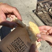 Vegan lemon cookie  at Pacific Cookie Company in Santa Cruz