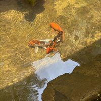   at Kashew Cheese Deli in Ho Chi Minh City