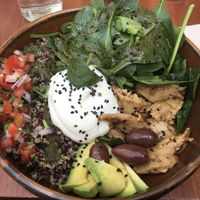 New plant protein buddha bowl at Blu Bar in Barcelona
