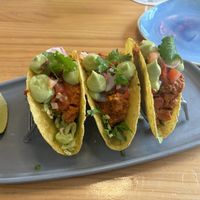 Crunchy tacos  at Blu Bar in Barcelona