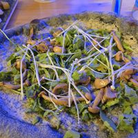 Pizza  at Blu Bar in Barcelona