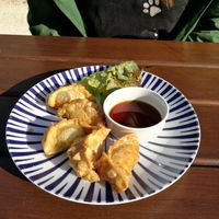 Gyoza at Chay Vegan Kitchen in Nuremberg