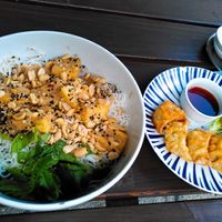 - Rice noodle with tofu and peanut sauce
- Gyoza at Chay Vegan Kitchen in Nuremberg