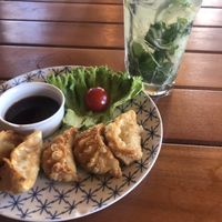 Gyosa als Vorspeise   at Chay Vegan Kitchen in Nuremberg