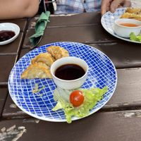 Gyoza  at Chay Vegan Kitchen in Nuremberg